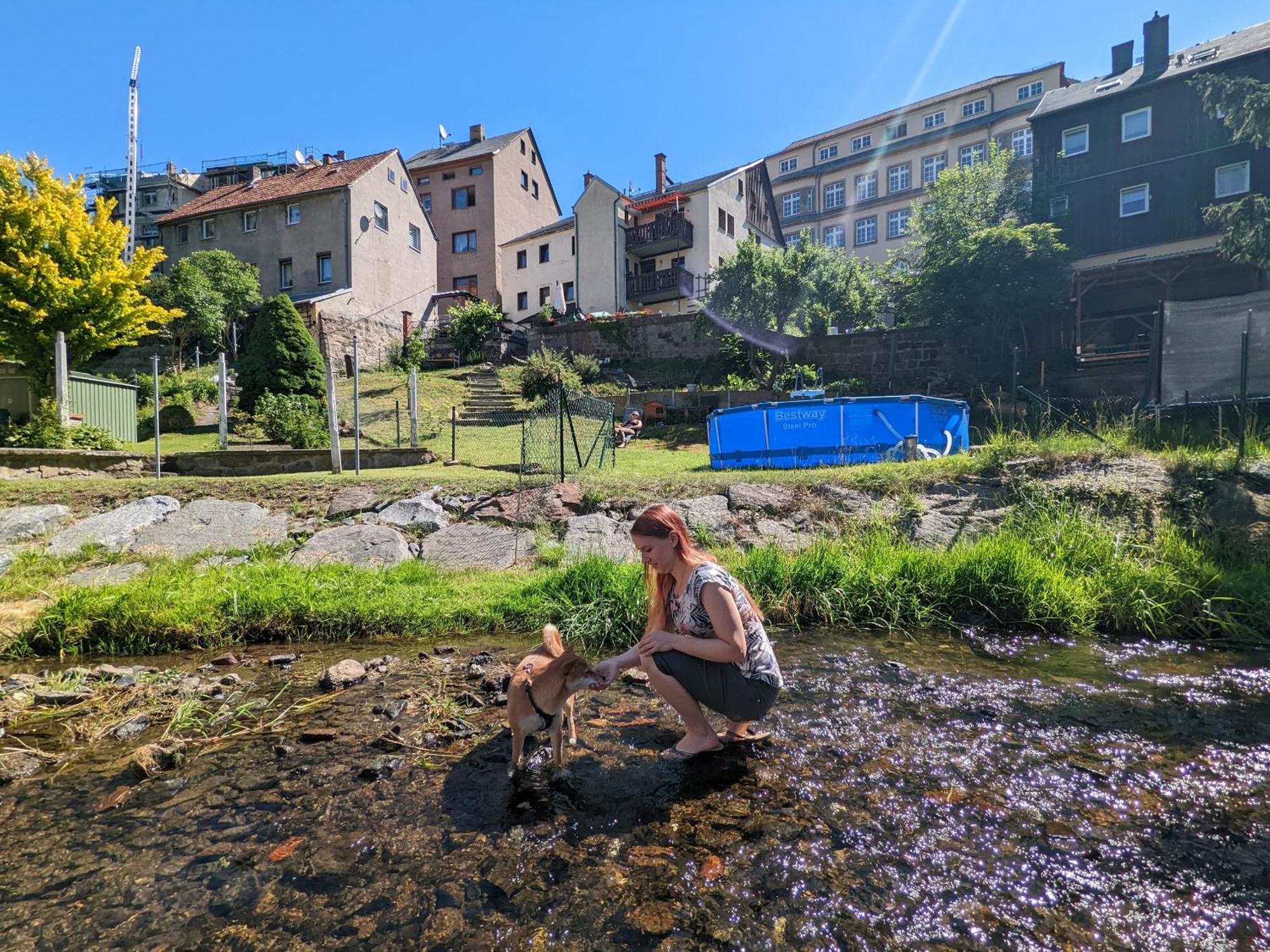 Hw3 - Urlaubsmagie - Helle, Grosse Wohnung Mit Pool Sebnitz Esterno foto