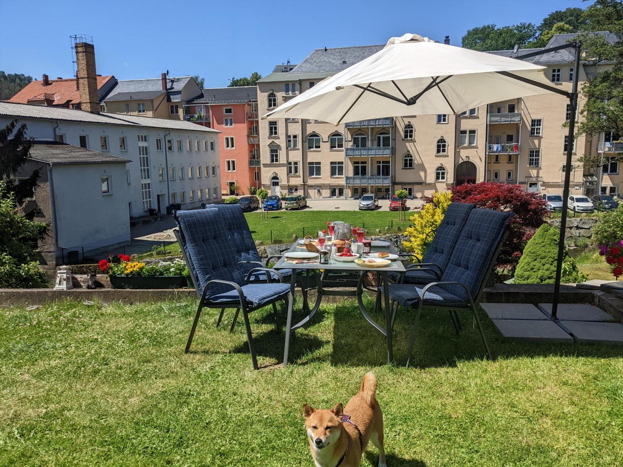 Hw3 - Urlaubsmagie - Helle, Grosse Wohnung Mit Pool Sebnitz Esterno foto