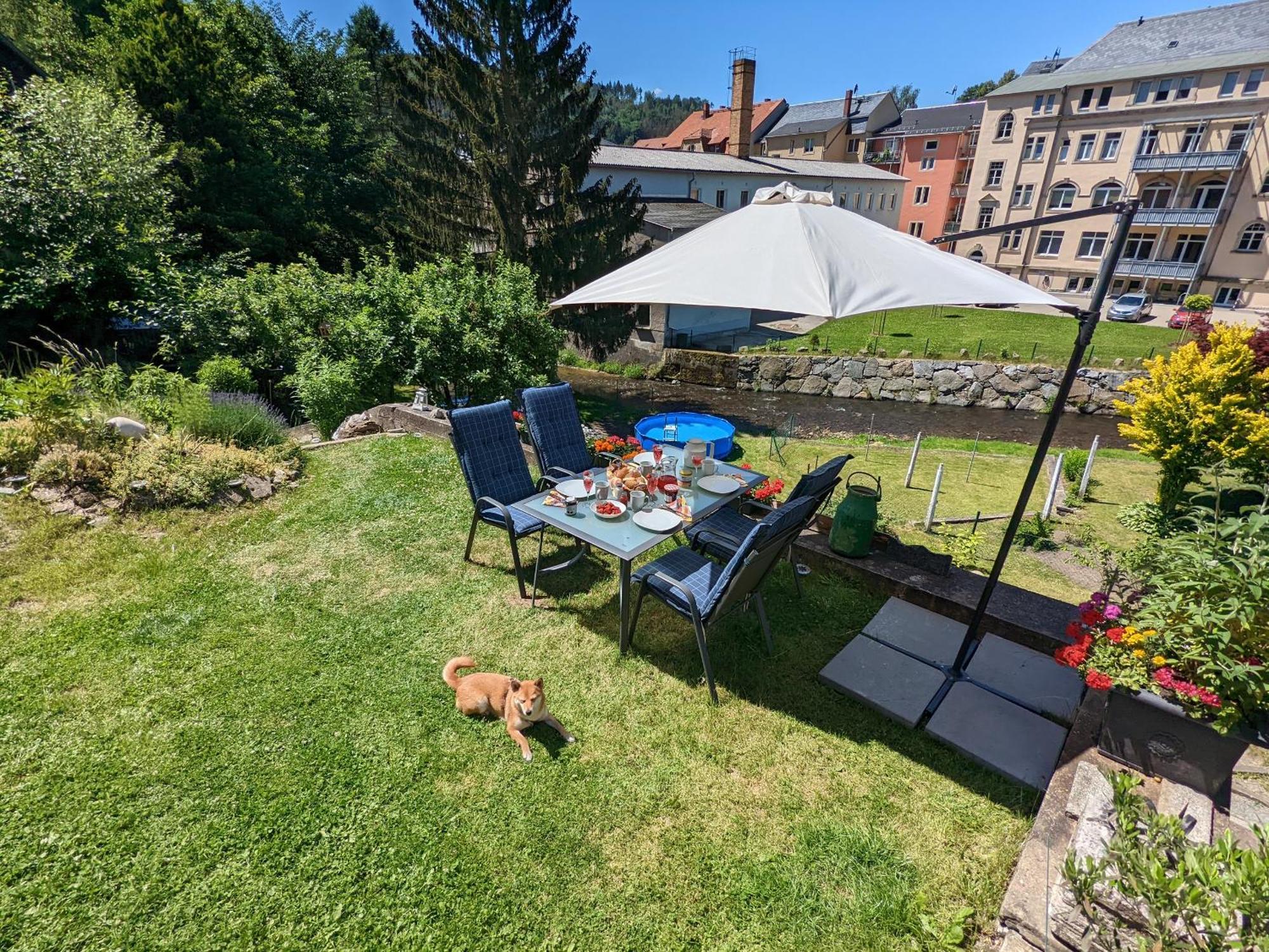 Hw3 - Urlaubsmagie - Helle, Grosse Wohnung Mit Pool Sebnitz Esterno foto